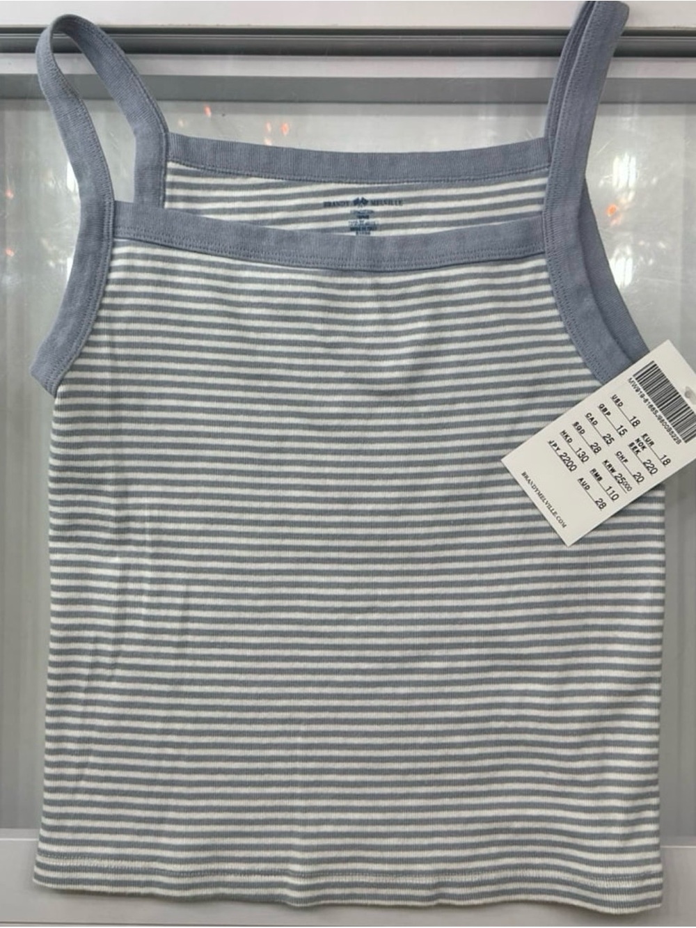 Brandy Melville Striped Tank Top (Ready To Ship)